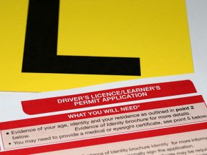 Driver's licence application form for truck driving permit renewal process.