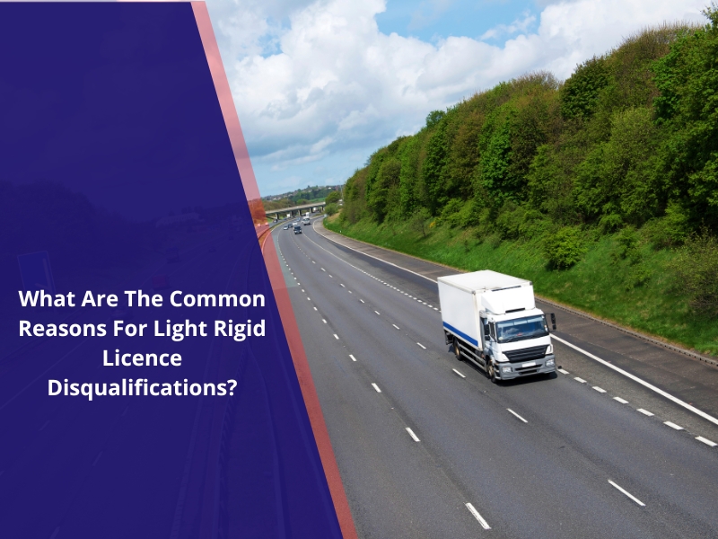 A light rigid truck driving on a highway. Learn about common reasons for light rigid licence disqualifications.