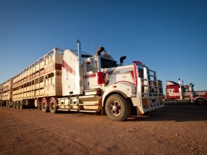 A large trailer truck on the road, requiring an HC drivers licence to operate legally in Australia.