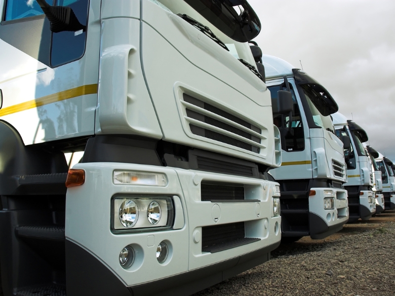 Row of white heavy combination trucks used in training, reflecting real-world HC licence training cost factors.