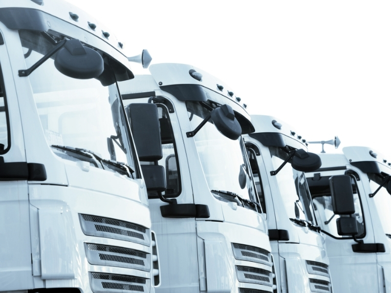 Fleet of heavy rigid trucks ready for applicants to apply for HR licence