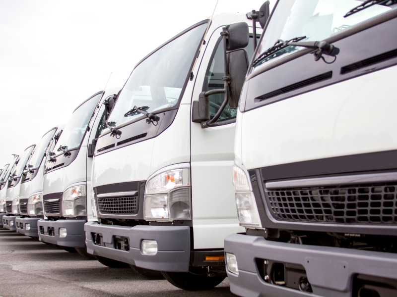 Fleet of light rigid trucks illustrating LR licence requirements in Australia.