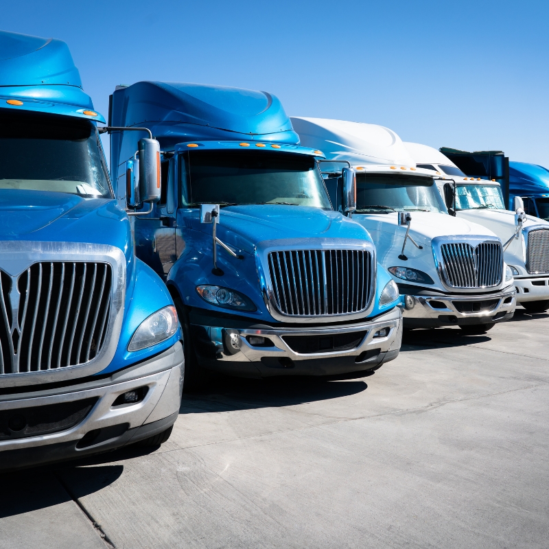 Truck driving school fleet of blue and white semi-trucks lined up in depot under clear blue sky.