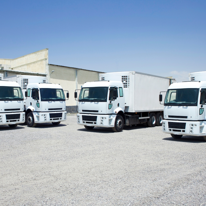 MR licence training trucks parked in a transport yard, showing multiple medium rigid vehicles ready for instruction